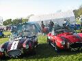 Locust Enthusiasts Club - Locust Kit Car - Stoneleigh 2009 - 023.jpg